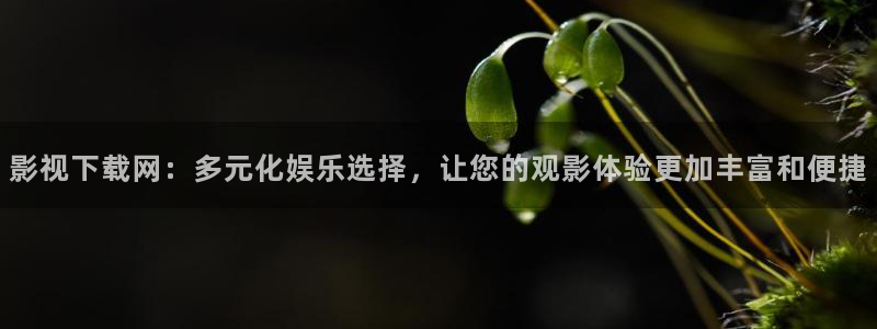 青柠影院免费观看电视剧高清中文在线：影视下载网：多元化娱乐选择，让您的观影体验更加丰富和便捷