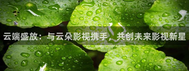 青柠影院手机在线