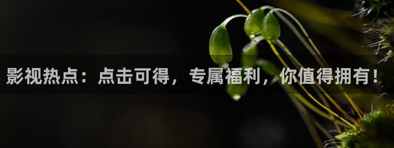 青柠影院在线观看免费高清完整版